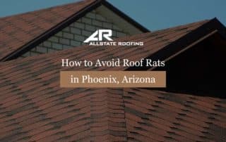 How to Avoid Roof Rats in Phoenix, Arizona