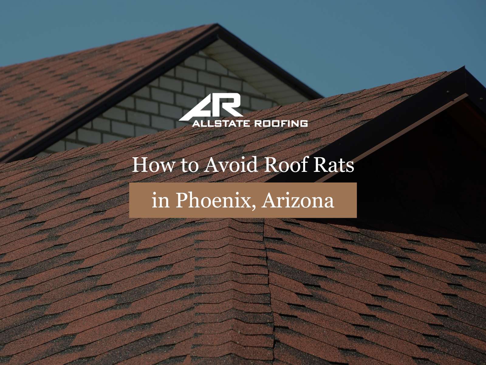 How to Avoid Roof Rats in Phoenix, Arizona