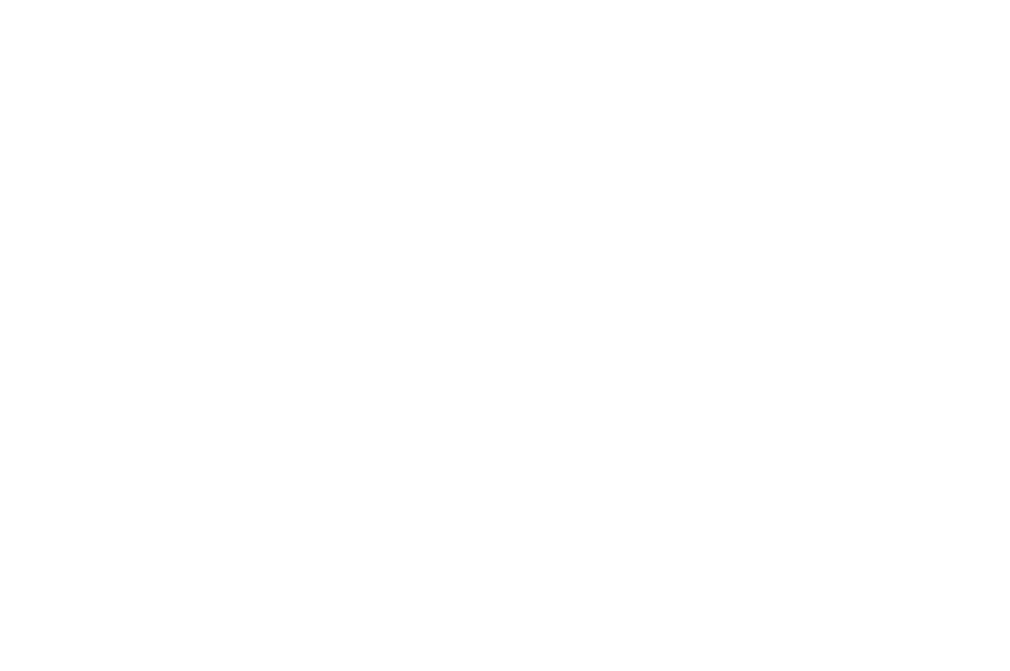 20th anniversary logo